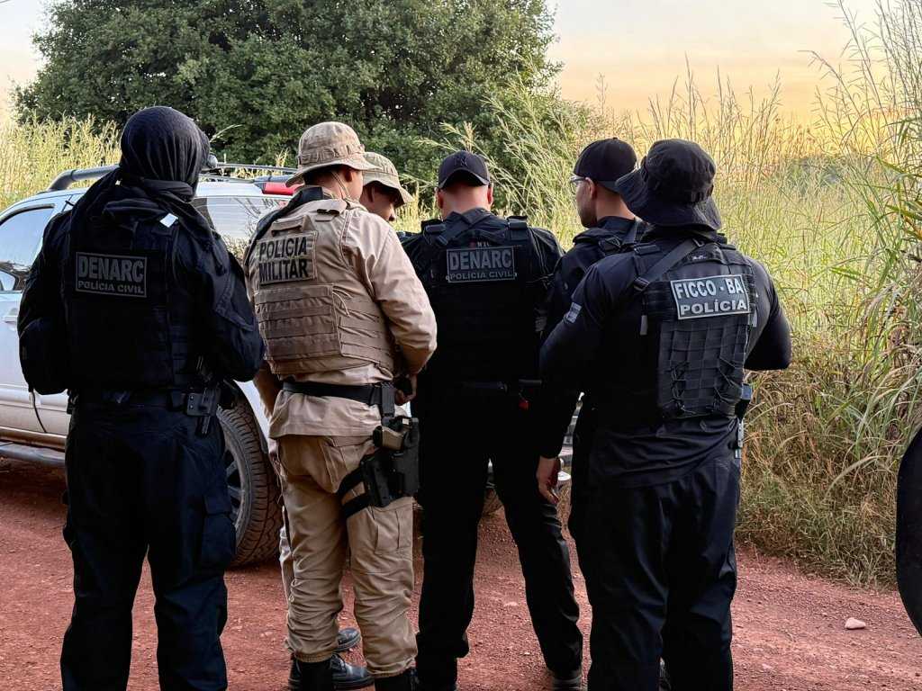 Polícia encontra 50 mil pés de maconha em operação no oeste da Bahia